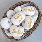 Besttoyhome 12 Pcs Assorted Sizes Rustic Harvest White Artificial Pumpkins For H