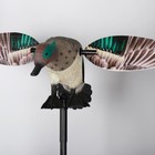 Lifelike Motion Duck Mallard With Wing Female Ducks Drake