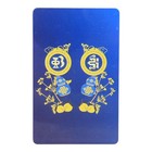 Feng Shui Medicine Buddha Talisman Card