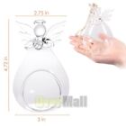 2x Hanging Vase Glass Planter Plant Air Plant Container Home Party Decor Outdoor