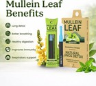 Cigtrus Quit Smoking Aid Smokeless Inhaler Mullein Leaf Icy Spearmint 3 Pack