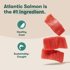 Jinx Grain Free Atlantic Salmon Sweet Potato Dry Dog Food 23 5 Lb