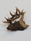 Elk Head Lapel Pin Hard Resin 