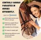 3 Pack In Paste Wormer  Horse Dewormer Apple Flavor Us