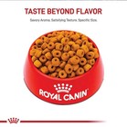 Royal Canin Breed Health Nutrition Labrador Retriever Adult Dry Dog Food  30-lb