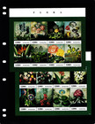  24 00 Scott Value - 2013 Tanzania Flowers 2 S s African Wildlife Cv Mnh Nh Umm