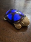 Cloud B Twilight Turtle Night Light - Projects Stars In Multicolors