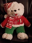 Snowflake Teddy Dan Dee 2019 Christmas Bear Hat   Sweater 21  New