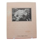 My Circle Of Bears Book Signed Michelle Dirksen Clise Teddy Bear 1981