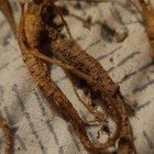 Natural Dried Herbal Roots   Root Pieces Herb  Herbal Scent  Oral  Unisex