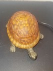 Vintage Turtle Lamp Tiffany Style Amber Glass Brass Base Night Light Tested Work