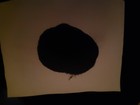 Ritual Black Salt  Witch s Salt 1 Pound
