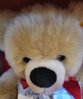 Steiff Teddy Bear  not Your Ordinary Bear  Book Collectable Made In Germany 2007