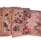 Vintage Lllustration Pages 25 Pcs  Junk Journal Supplies  Scrapbooking Supplies