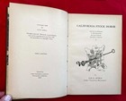 Nice California Stock Horse By Luis B  Ortega 1949  Out Of Print