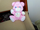 Vintage 1994 Fisher Price Puffalump Pet Baby Pink Teddy Bear W  Rattle
