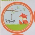 New Monthly Milestone Forest Animals 12 Monthly Stickers Girl Boy Growth 
