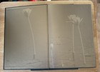The Collection Of 1999 Australian Stamps Deluxe Edition- Pristine