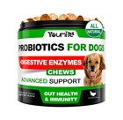 Probiotics For Dogs Digestive Enzymes For Good Health Itchy Skin 120 Chews Fit