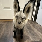 Hansa Bat-eared Fox Stuffed Animal Plush Gray   Black