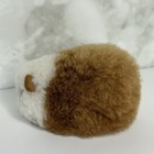 Small Peruvian Handmade Guinea Pig Stuffed Animal Made With Alpaca Fur 5   