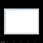 Old Vintage Photo Men Women Sitting At Table Outside