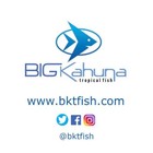 Premium Brine Shrimp Flake Food  - Perfect For All Tropical And Marine Fish 