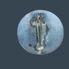 Vintage Town Deputy Forest Warden Metal Badge Pin