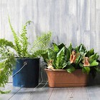 Fairy Garden - 6pcs Miniature Fairies Figurines Accessories Outdoor House Decor