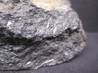Cylindrite  Santa Cruz Mine  Bolivia  2