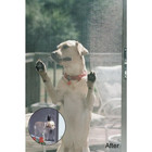 Pet Screen Roll Insect Screening Tear Resistant Heavy Duty Doors 60in 25ft Black