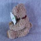 Bear First   Main Scraggles Teddy Bear Plush 9  Stuffed Animal New Toy