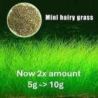 Aquarium Grass Seeds  small Cow Hair Grass  Aquarium Plant Usa