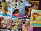 9 Vintage Teddy Bear And Friends Magazines Early 2000s