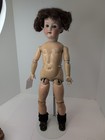 23 5    Antique Germany Bisque Doll Heubach Kopplesdorf 250 04 Head As Is Compo L