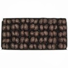 Philadelphia Candies Macadamia Nuts  Dark Chocolate Covered 1 Pound Gift Box