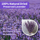 Dried Purple Lavender Flowers Bundle-dried Preserved Lavender Bouquet 15-17 For