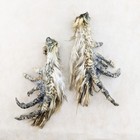 Two Chicken Feet W  1 2   Spurs Feathers Taxidermy Curiosities Oddities Crafts