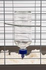 Glass Water Bottles For Rabbits  Ferrets  Small Birds  Guinea Pigs  Rats  Ham   
