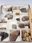 Invertebrate 31 Fossil Bulk Lot - Unknown Locality - Wholesale 