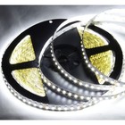 Abi 1200 Led Strip Light  10m Super Bright Double Density  Cool White 6000k  24v