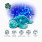 Cloud B Tranquil Sea Turtle Aqua Blue Lights Music Waves Sleep Soother Baby