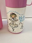 Vintage Rare Plastic Holly Hobbie 1989 Lunch Box With Thermos By Aladdin  flaws 