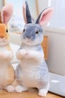 Long Ears Bunny Rabbit 9 Inch Stuffed Animal Plush Toys Toddler Doll Kids Gifts