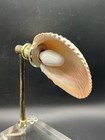 Vintage Mcm Seashell Nightlight Bathroom Lamp W  Lucite Base   Two Way Switch