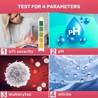 Jnw Direct 4 In 1 Urine Test Strips  100 Uti Test Strips Accurate At Home Uti T