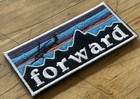 Fog Forward Observations Group  pata  Patch