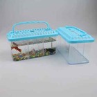 Dual-layer Isolation Betta Fish Tankl three Compartments For  Betta Fish