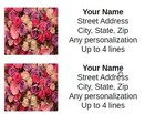 81 Personalized Return Address Labels Custom Mailing Stickers Roses