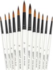 Dainayw 12 Pcs Round Paint Brushes Set  Artist Brush For Acrylic Watercolor Oil 